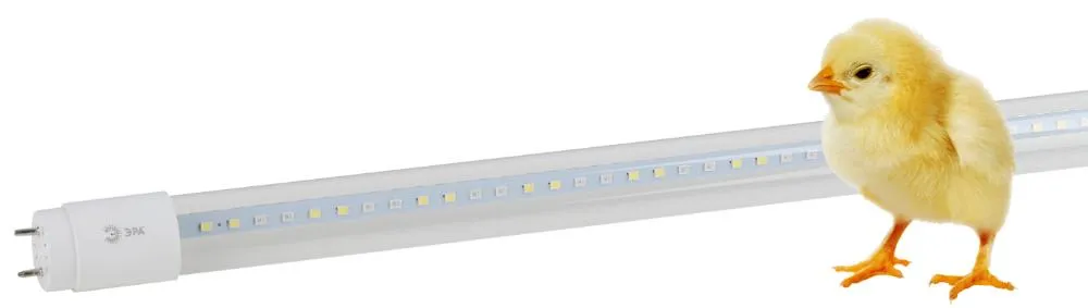 Лампа светодиодная Т8 фито для растений 18Вт G13 белый спектр ЭРА FITO-18W-Ra90-Т8-G13-NL | Б0042987