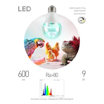 Лампа для птиц и рептилий Chicken с UVB спектром FITO-Dim 9W E27 ЭРА Б0059884