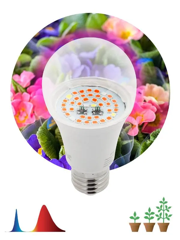Светильник светодиодный для растений FITO-12W-RB-E27 | Б0050601 | ЭРА
