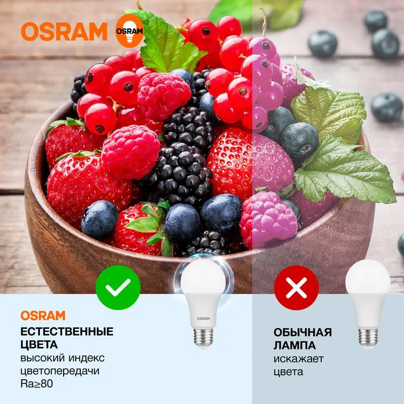 Лампа светодиодная LED Value CL- A 10W/865 230V E27 10X1 | 4058075578913 | OSRAM