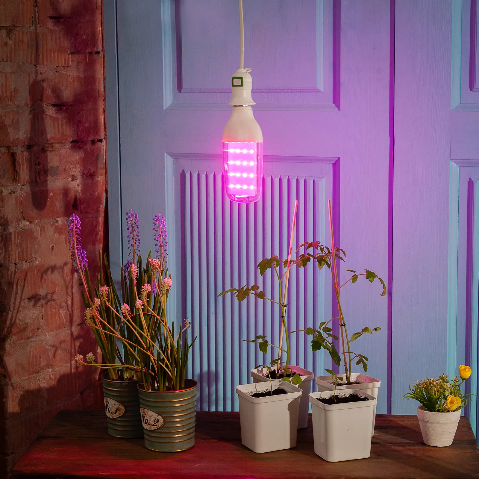 Лампа светодиодная LED-B82-12W/SPBR/E27/CL PLP33WH 12Вт DOUBLESIDE прозрачная E27 для растений спект